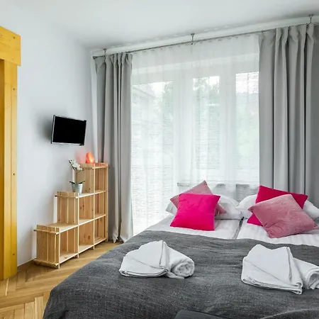 Lejlighed Krzeptowskiego Studio Z Widokiem Na Gory W Zakopanem By Rent Like *